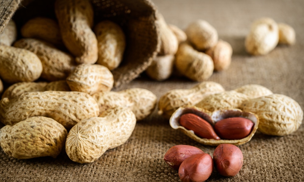 Quels sont les dangers des Cacahuètes ?