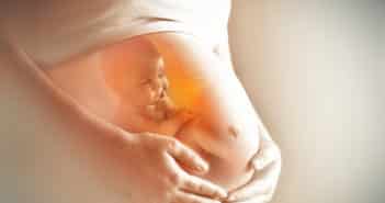 Impact des facteurs périnataux et des expositions durant les 1 000 premiers jours sur les structures vasculaires des fœtus, nourrissons, enfants et adolescents