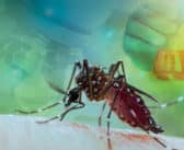 Covid et dengue : tempêtes virales tropicales – Syndromes inflammatoires multi-systémiques et maladie de Kawasaki secondaires à une infection à la COVID-19 et/ou à la dengue chez la population pédiatrique guadeloupéenne