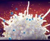 Syndrome d’activation macrophagique dans le cadre d’un PIMS