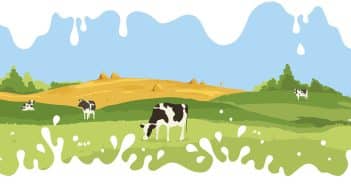 Prise en charge et prévention de l’allergie sévère aux protéines de lait de vache