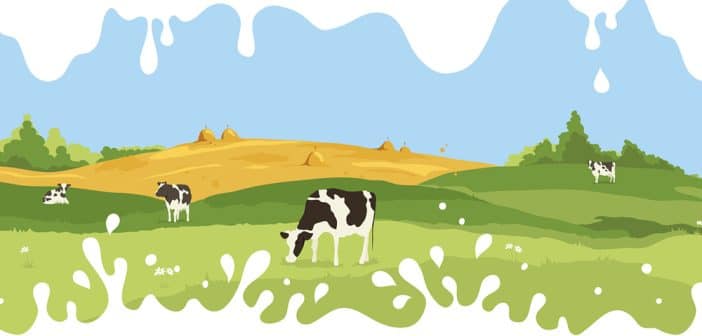 Prise en charge et prévention de l’allergie sévère aux protéines de lait de vache