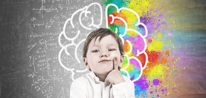 Développement du cerveau et troubles du neurodéveloppement