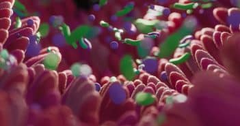 Prescriptions des probiotiques : les bonnes et mauvaises indications Prescriptions de probiotiques : les bonnes et mauvaises indications
