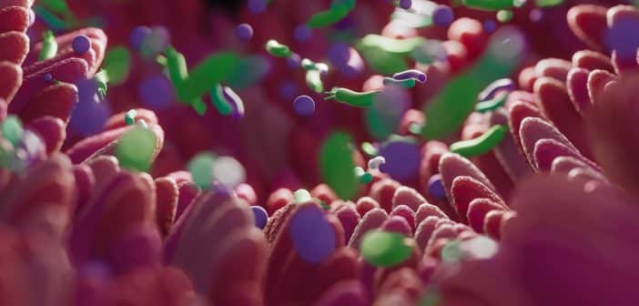 Prescriptions de probiotiques : les bonnes et mauvaises indications