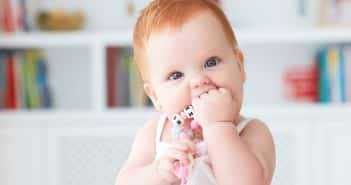 Analyses bibliographiques