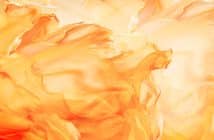 Spécificités de la prise en charge en rééducation de l’enfant brûlé