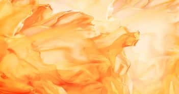 Spécificités de la prise en charge en rééducation de l’enfant brûlé