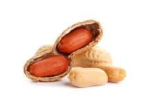 Quoi de neuf en allergologie pédiatrique ?