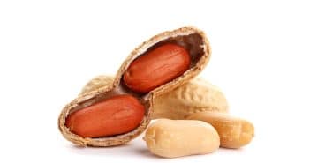 Quoi de neuf en allergologie pédiatrique ?