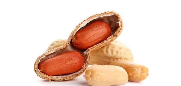 Quoi de neuf en allergologie pédiatrique ?