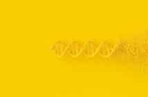 Mieux comprendre la biologie moléculaire : quelles techniques pour quelles indications ?