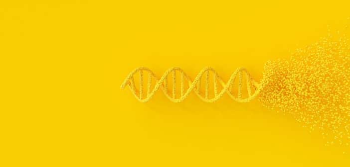 Mieux comprendre la biologie moléculaire : quelles techniques pour quelles indications ?