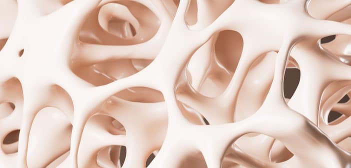 Comment comprendre un bilan phosphocalcique ?