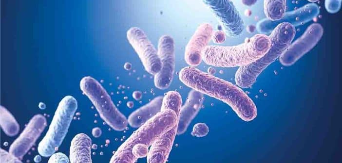 Le microbiote et la santé de l’enfant